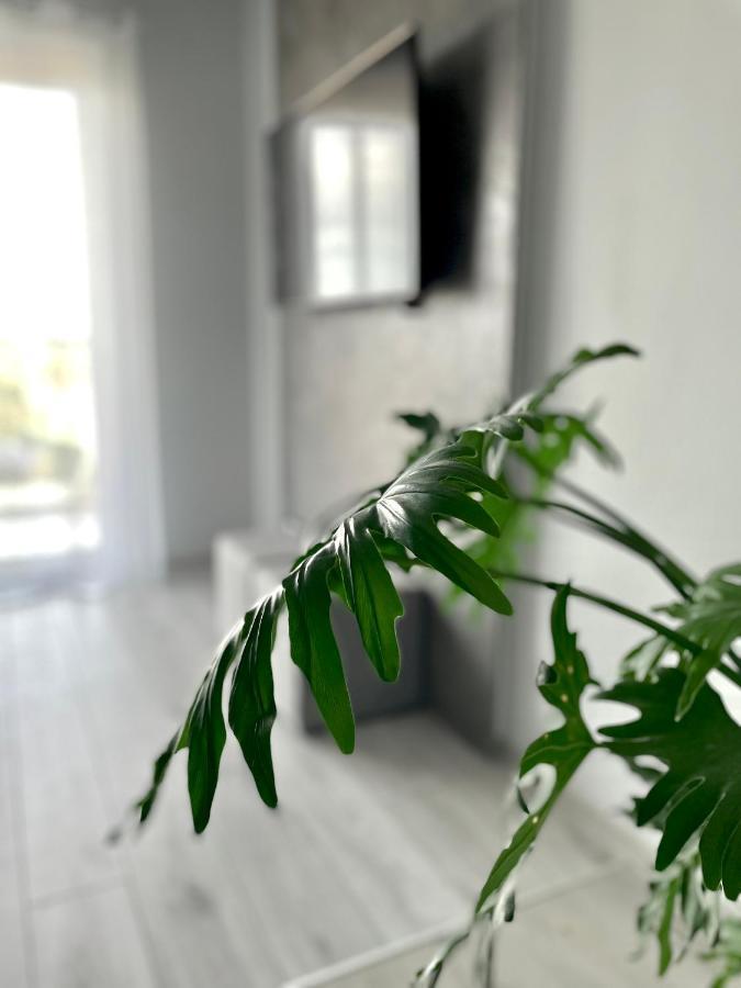 Ach, To Tu- Apartament Łańcut Zewnętrze zdjęcie
